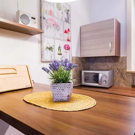 Haus Sonnenwinkel 아파트